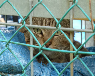 �l������̂ɋC�Â���