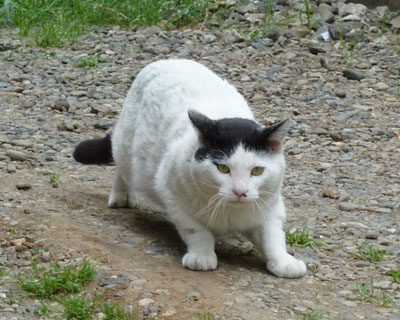 �o����ł����܂�d���˂�