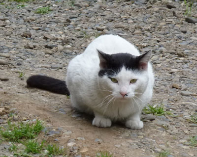 �������������߂�