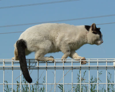 ���̕����y���ƋC�Â�