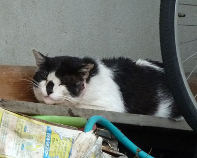 �^�k�L������