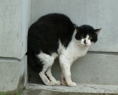 �������ɋ߂��Ɠ{��^�k����