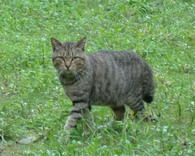 ���ɋC�Â���