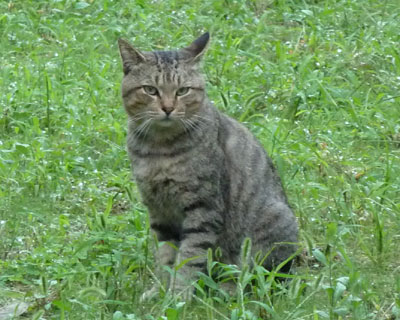 ������΂���Ȃɓ{��Ȃ�