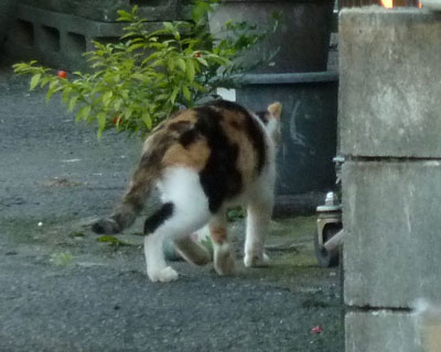 ������������