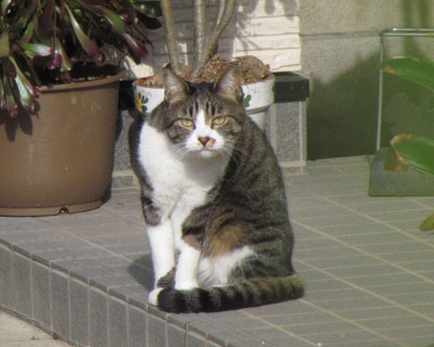 ��[�������Ă��܂���