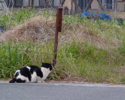 �Ȃɂ��_���Ă�