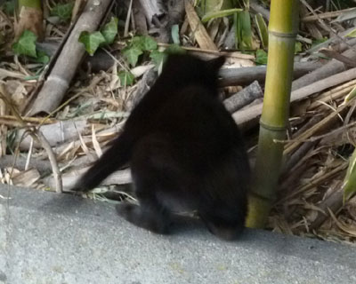 �}���œ�����