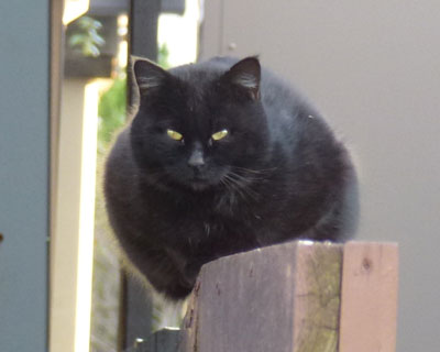 �������ǂƂ��ǂ��ڂ��J����