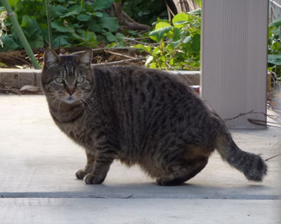 ��둫�����킢��