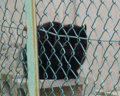 �e�Ɏ����悭�Ȃ����˂������