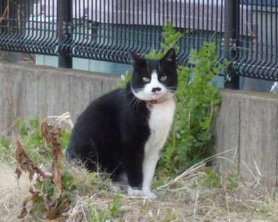 �@���������͂��̂ւ�̎����L�݂���