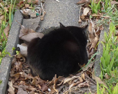 �Ȃ񂩖��܂��Ă�