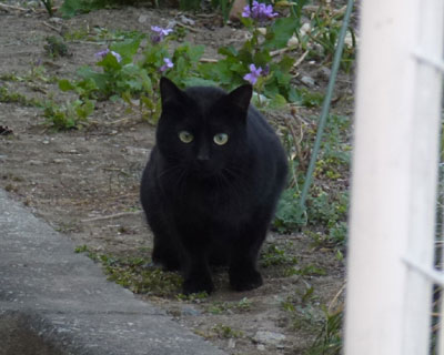 ���˂������͂��܂蓦���Ȃ��Ȃ���