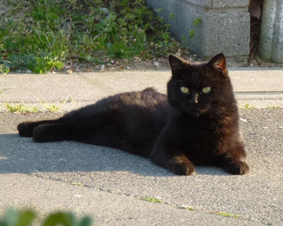 �F�B�ɂȂꂻ���ȋC������