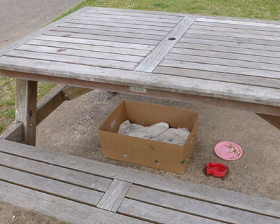 �Ƃɉ������ł��āA�����̐�����܂ł�����