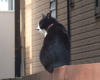 �@���������������D��