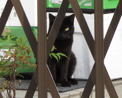 ���̉Ƃ̂��΂���Ƃ͒��ǂ�