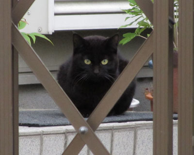 �������ւ��������߂Ă�