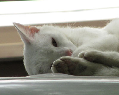 �`���b�ƌ��Ă܂��Q��