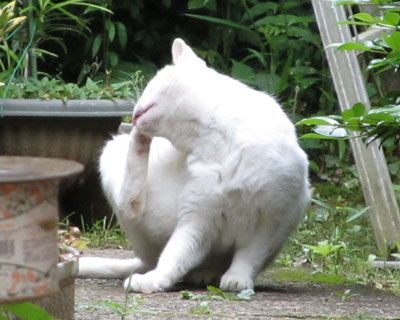 �����܂���