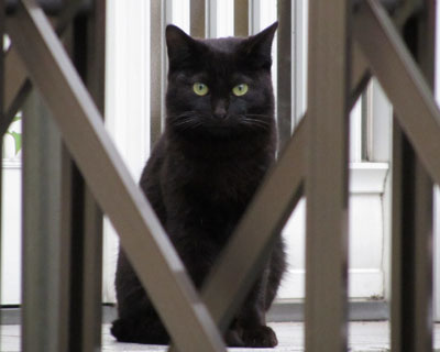 �قƂ�Ǔ����Ȃ��Ȃ���