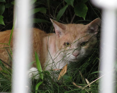 ����Q���H