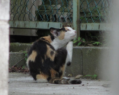 �O�т����𓐎B