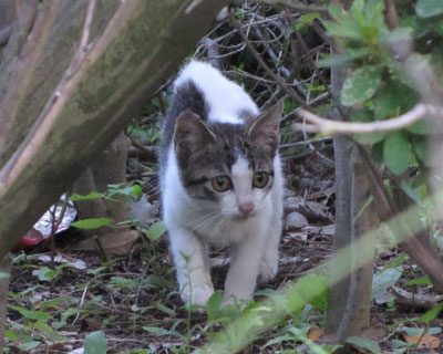 �����邨����E�E�E