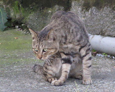 ������������