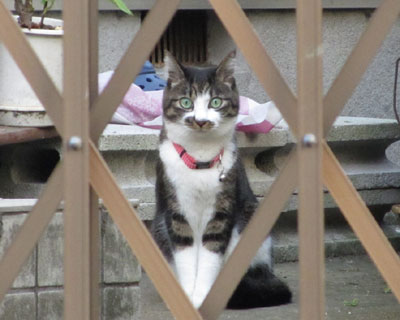 ���ĂĂ��낦�ăr�b�N��