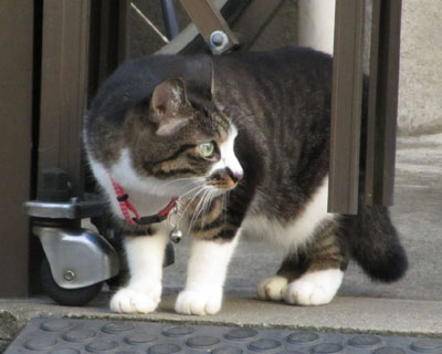 �͂ݏo�Ă���