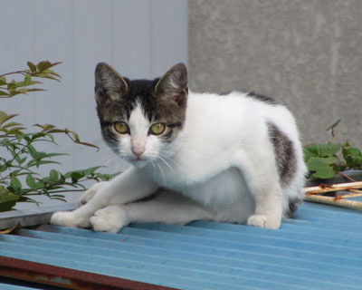 ���|���J�n