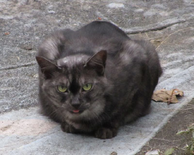 ������܂��Y�ꂽ