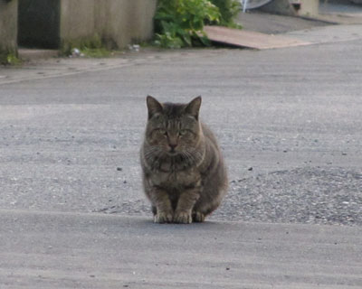 �Z������Ȃ��Ă����������ĎB��ɂ���