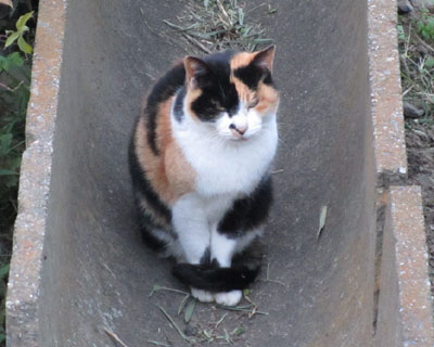 �̂�т����������߂Ă���