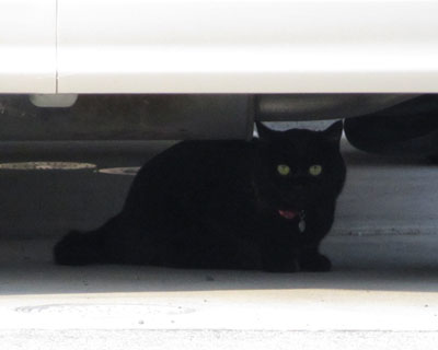 ��ւ����킢�����˂������