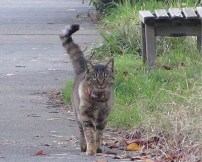 �g�R�g�R����������