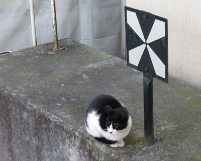 �d�Ԃ�瀂��ꂽ�񂶂�Ȃ��낤��