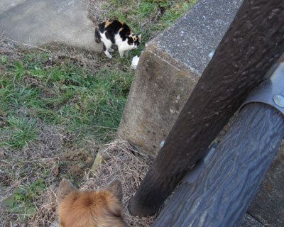 �M�����ɋC�Â���