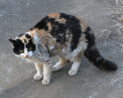 ������������