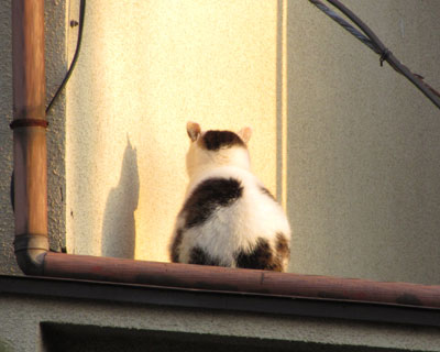 ����܂���