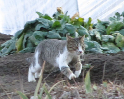 �`�r������