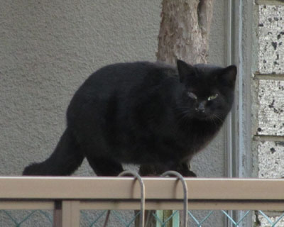 ���˂������A�ڂ��s��