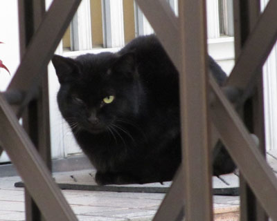 �E�ڂ͂܂���