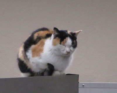 ���u�̏�����Q�ꏊ