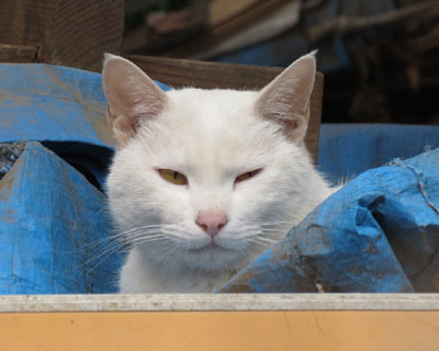 �U�������