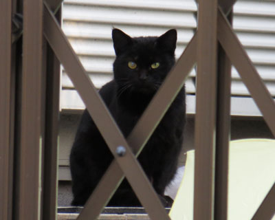 ���E�̑傫�����Ⴄ