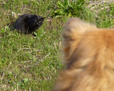 ����ɕʂ̍��˂�