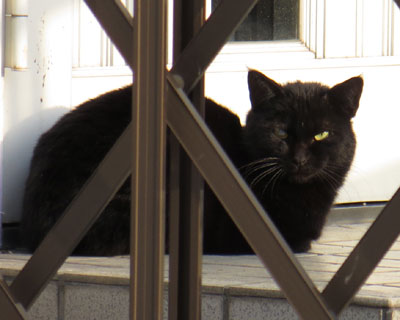 �E�ڂ͑����Ă��܂����炵��